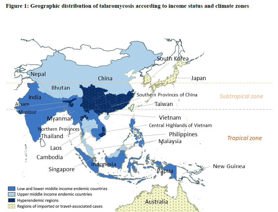 Global distribution of talaromycosis