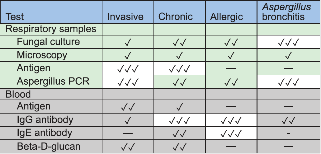 Diagnosis of aspergillosis now routine with good performance – if tests ...